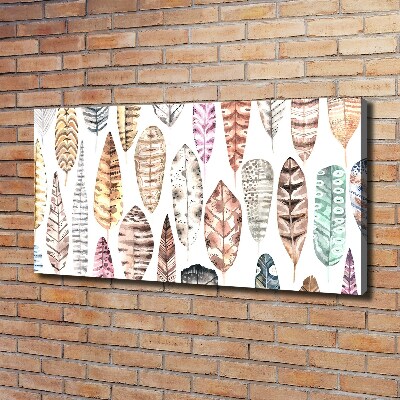 Wandbild Bunte Federn