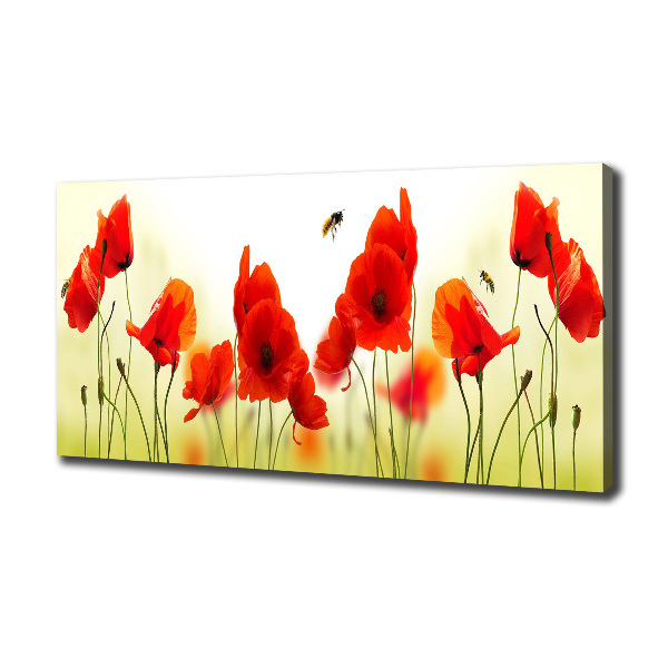 Wandbild Mohnblumen