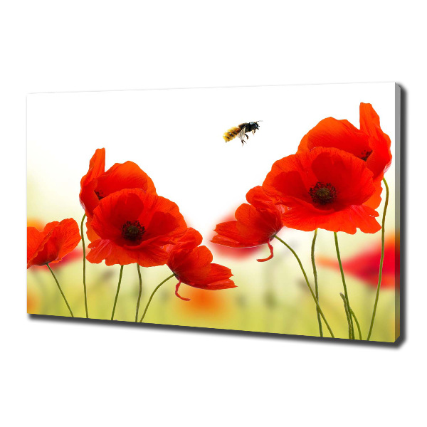 Wandbild Mohnblumen