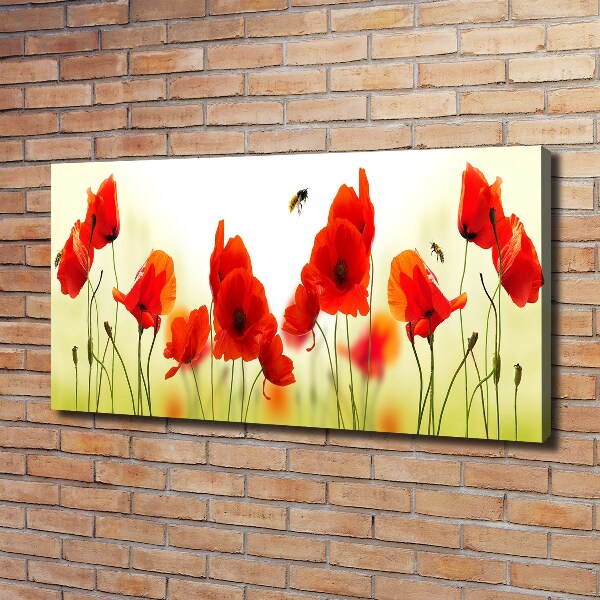 Wandbild Mohnblumen