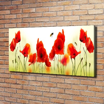 Wandbild Mohnblumen