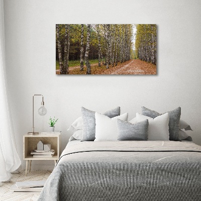 Bild auf leinwand Birkenallee