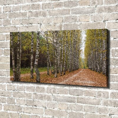 Bild auf leinwand Birkenallee