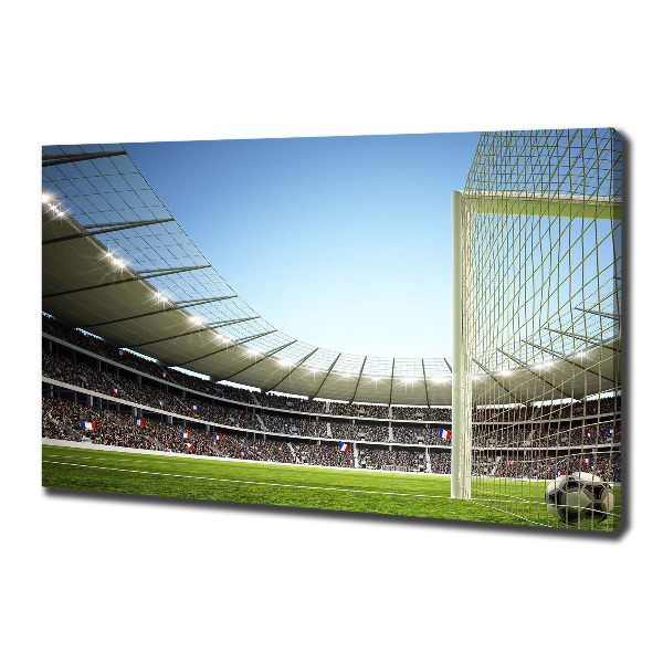 Fotobild Stadium France