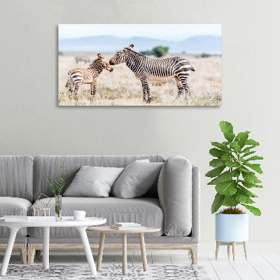 Bild auf leinwand Zebras in den Bergen