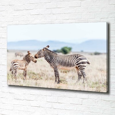 Bild auf leinwand Zebras in den Bergen