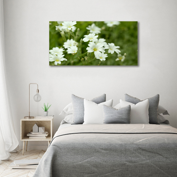 Bild auf leinwand Frühlingsblumen