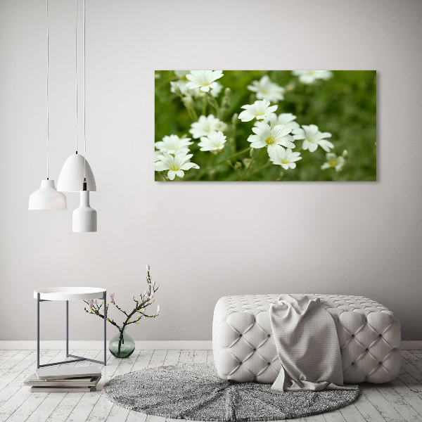 Bild auf leinwand Frühlingsblumen