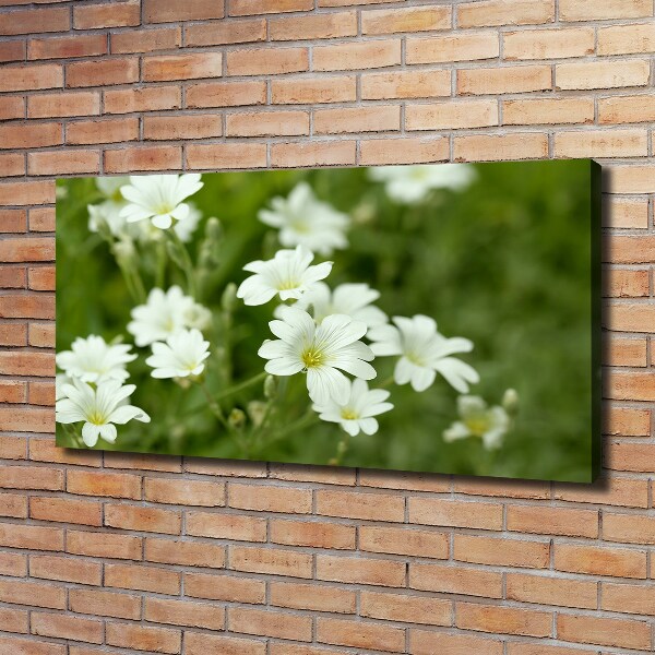 Bild auf leinwand Frühlingsblumen