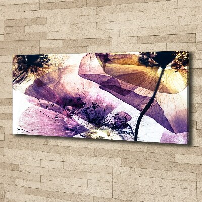 Wandbild Getrocknete Mohnblumen