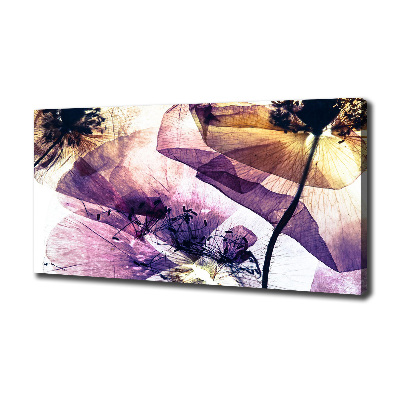 Wandbild Getrocknete Mohnblumen