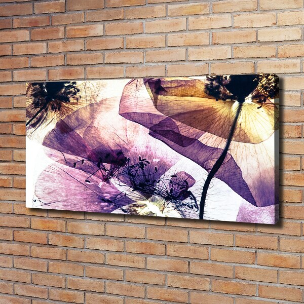 Wandbild Getrocknete Mohnblumen