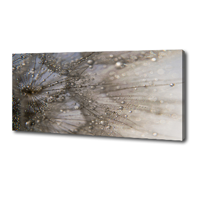 Bild auf leinwand Löwenzahnsamen