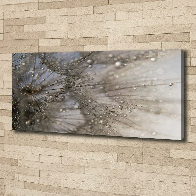 Bild auf leinwand Löwenzahnsamen