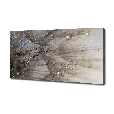 Bild auf leinwand Löwenzahnsamen