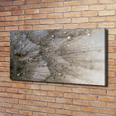 Bild auf leinwand Löwenzahnsamen