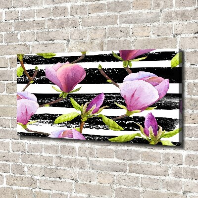 Bild auf leinwand Gestreifte Magnolie