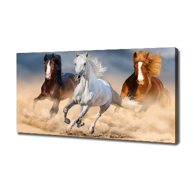 Fotobild Pferde in der Wüste