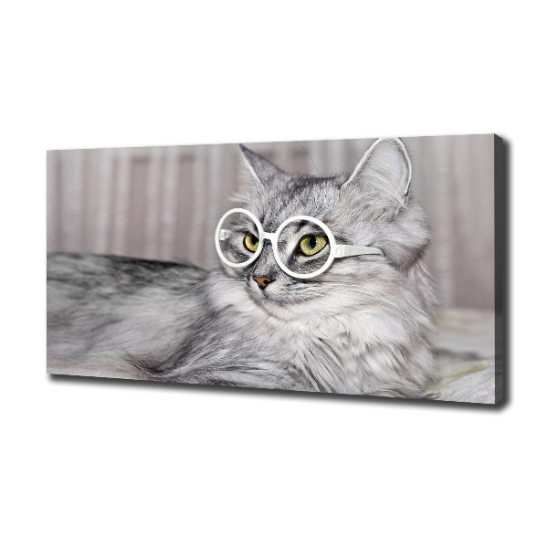 Wandbild Katze mit Brille