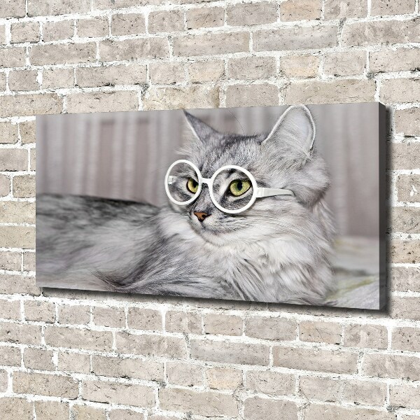 Wandbild Katze mit Brille