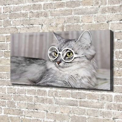 Wandbild Katze mit Brille
