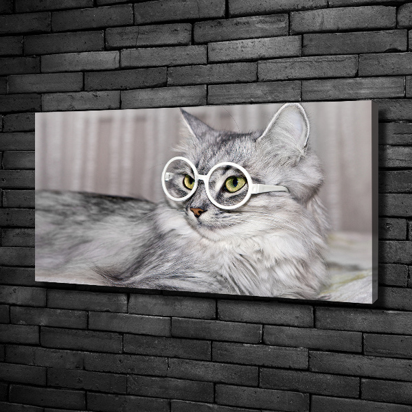 Wandbild Katze mit Brille