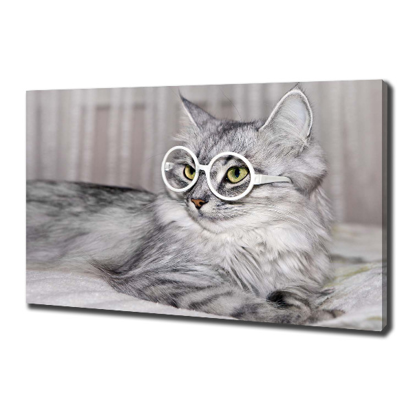 Wandbild Katze mit Brille