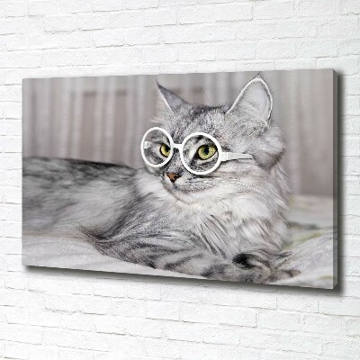 Wandbild Katze mit Brille