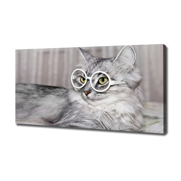 Wandbild Katze mit Brille