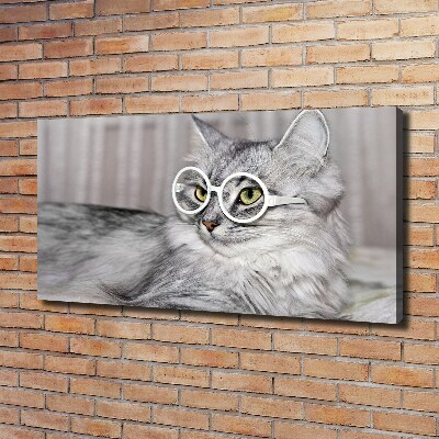 Wandbild Katze mit Brille