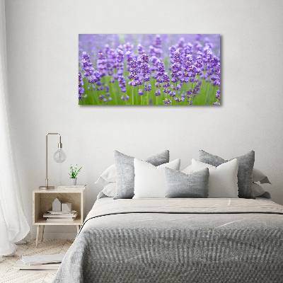 Wandbild Lavendel