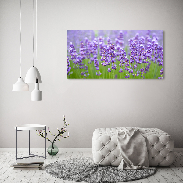 Wandbild Lavendel