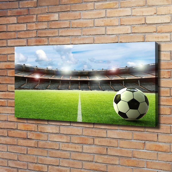 Bild auf leinwand Der Ball auf dem Spielfeld