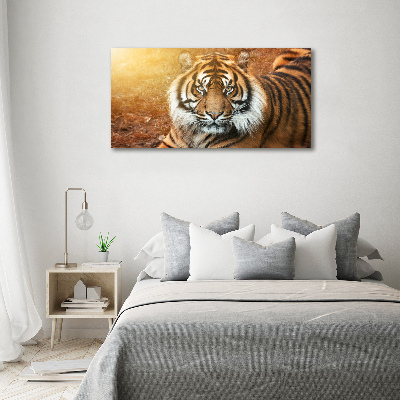 Fotobild Bengal-Tiger