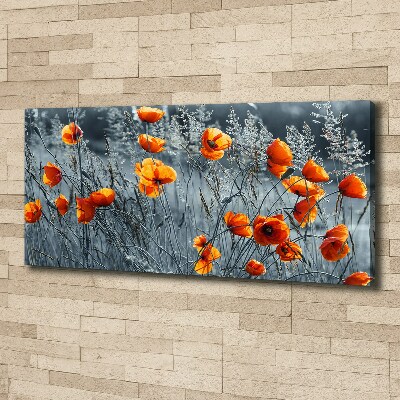 Bild auf leinwand Feldmohn