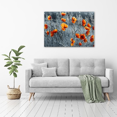 Bild auf leinwand Feldmohn