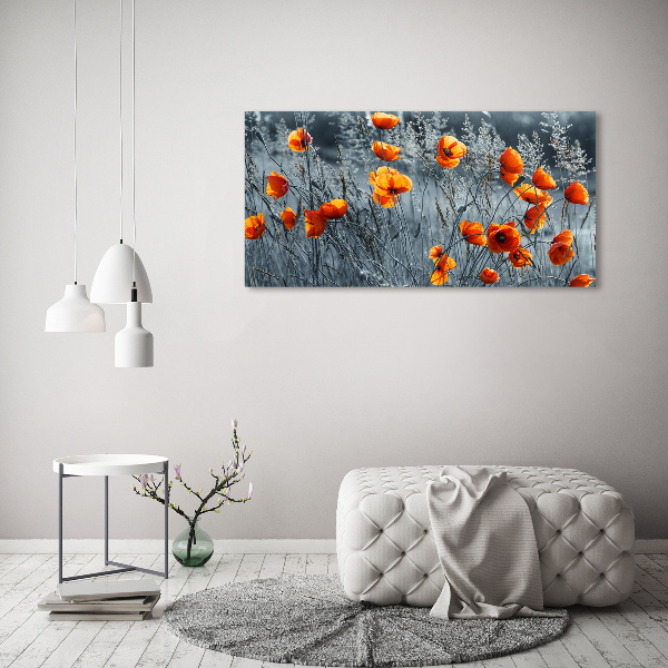 Bild auf leinwand Feldmohn
