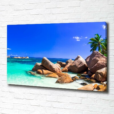 Fotobild Strand der Seychellen