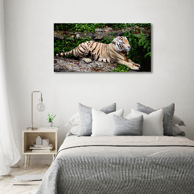 Bild auf leinwand Tiger auf einem Felsen