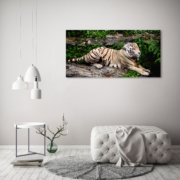 Bild auf leinwand Tiger auf einem Felsen