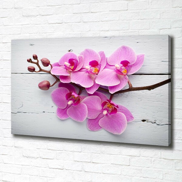 Bild auf leinwand Orchidee auf Holz