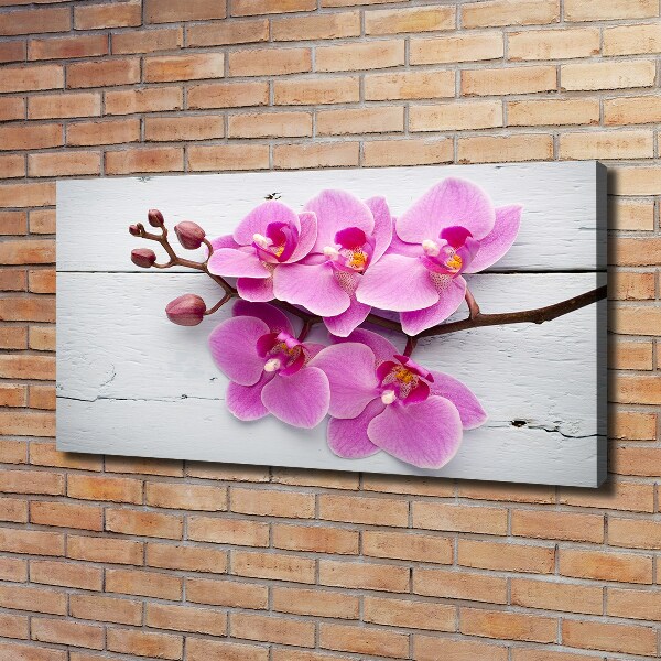 Bild auf leinwand Orchidee auf Holz