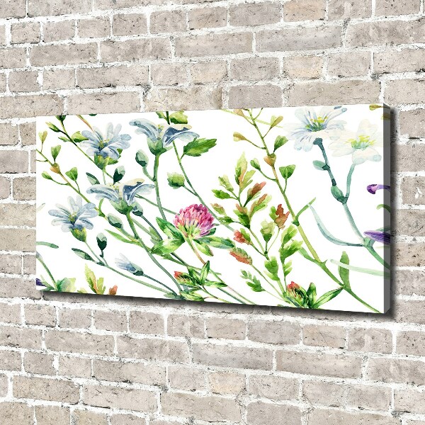 Bild auf leinwand Wildblumen