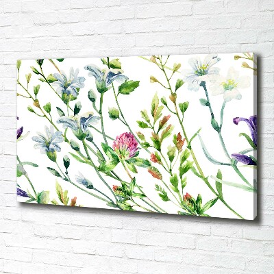 Bild auf leinwand Wildblumen