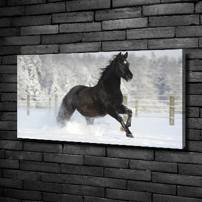 Bild auf leinwand Ein Pferd galoppiert im Schnee