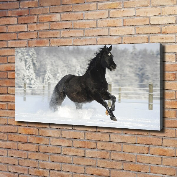 Bild auf leinwand Ein Pferd galoppiert im Schnee