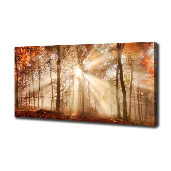 Bild auf leinwand Nebel im Herbstwald