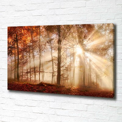 Bild auf leinwand Nebel im Herbstwald