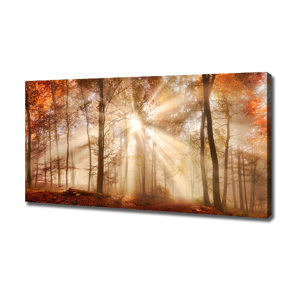 Bild auf leinwand Nebel im Herbstwald