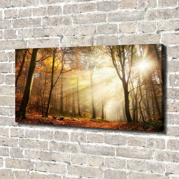 Wandbild Nebel im Wald